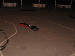 IMG 5344