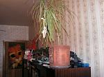 самолёты(часть)