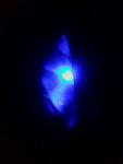 IMG0082A