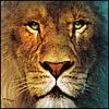 Аватар для King-Lion
